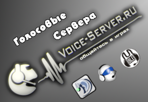 Voice-Server